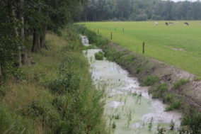Discussie over gemeentegrond